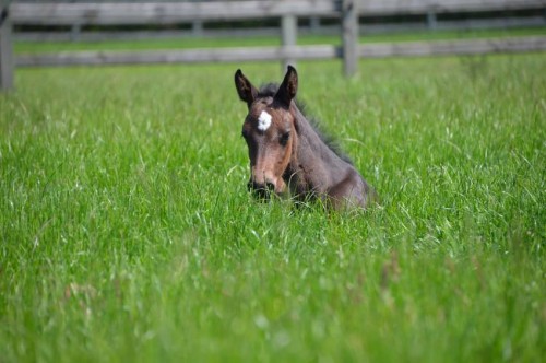 /userfiles/image.php?src=/userfiles/image/488658548102293917278408827108148764760173462n.jpg&w=500&h=0&zc=0