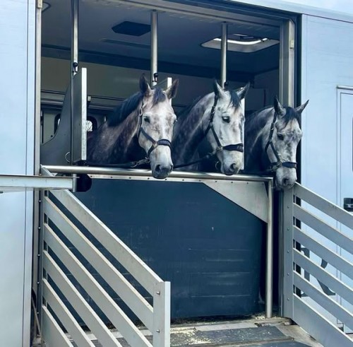 /userfiles/image.php?src=/userfiles/image/youngsters.jpg&w=500&h=0&zc=0